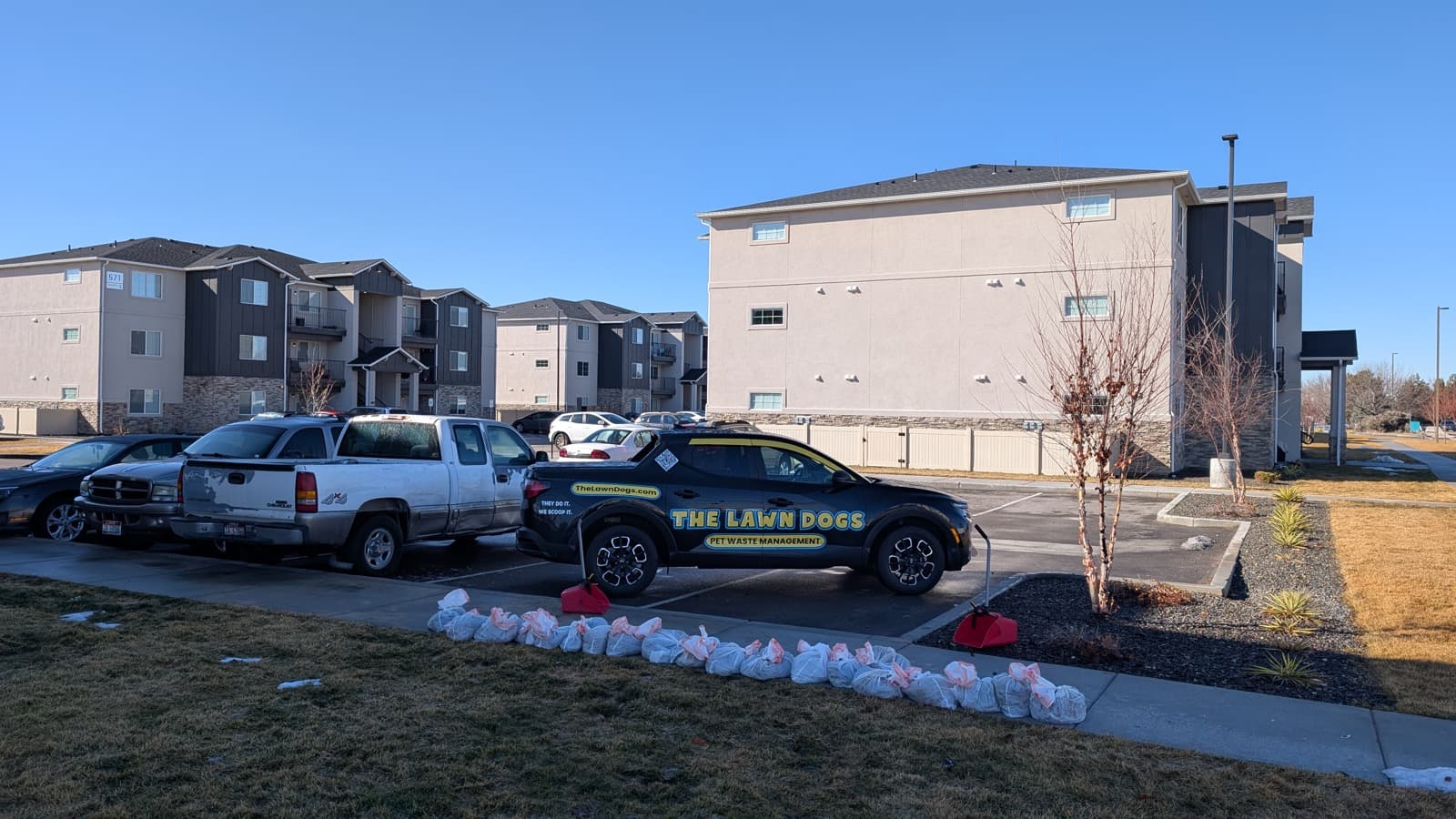 Around twenty bagged loads of dog waste lined up at the curb of an apartment complex beside a Lawn Dogs truck, ready for haul-away