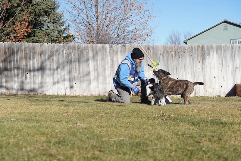 A uniformed Lawn Dogs technician working a fenced yard with dogs present