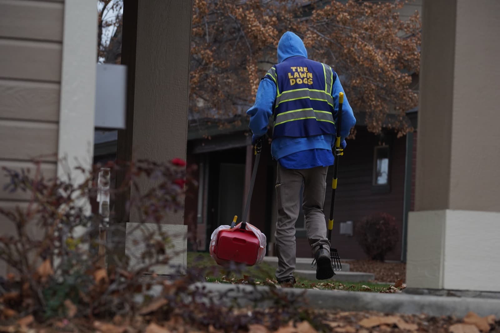 A Lawn Dogs technician in a branded hi-vis vest walking a client's yard carrying a scoop rake and a collection bin