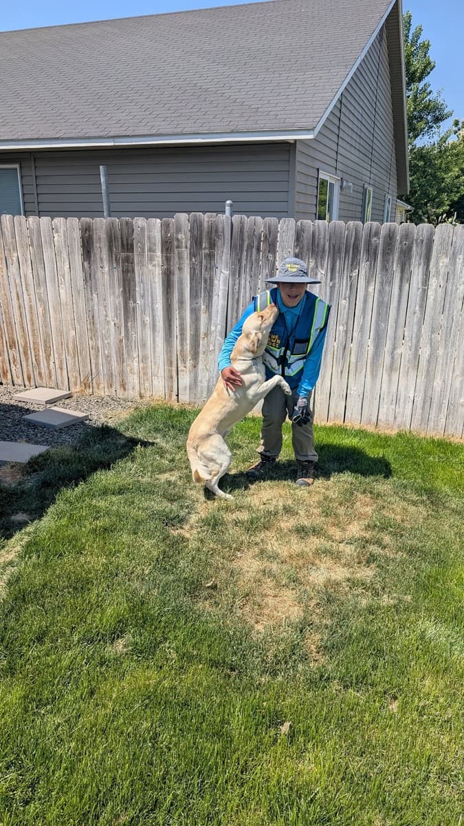 Manny Johns in a branded shirt and hi-vis vest in a fenced back garden as a yellow labrador stands on its hind legs to greet him
