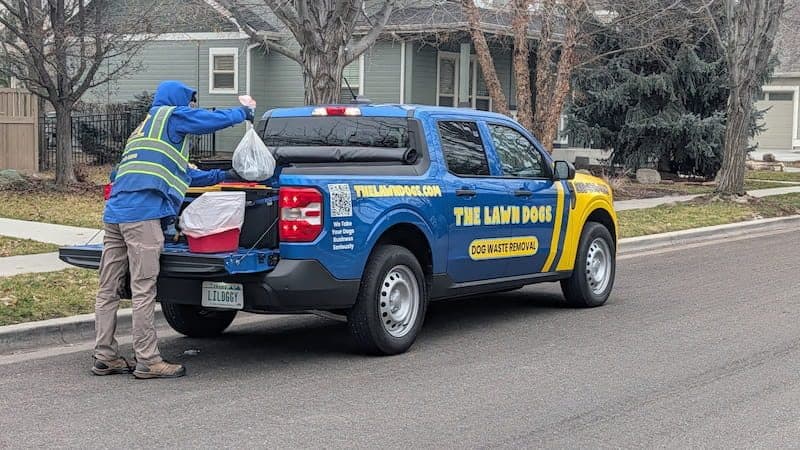 Lawn Dogs technician in a hi-vis jacket tossing a bagged waste load into the truck bed on a residential street
